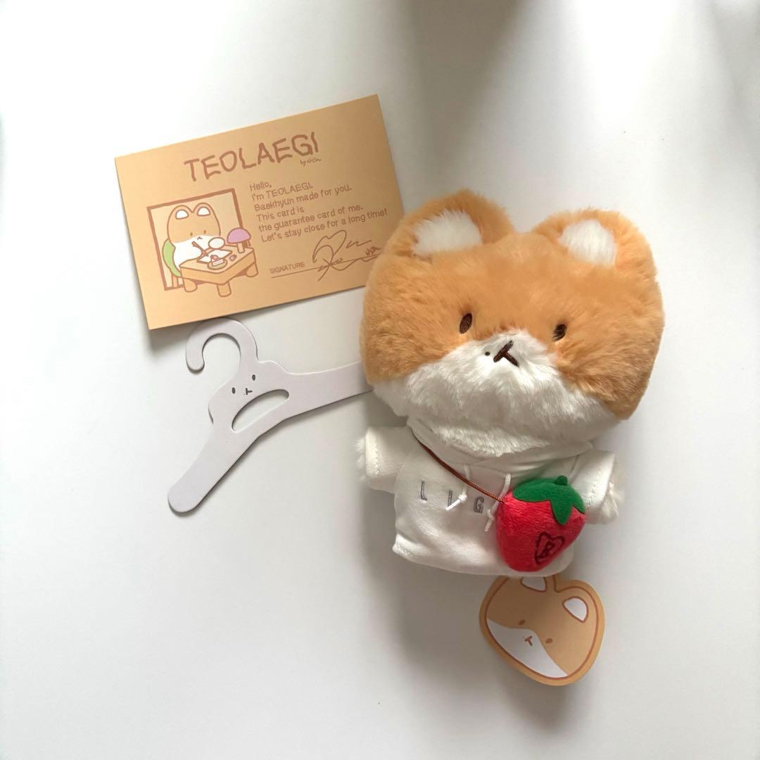 ベッキョン　トレギ4点セット