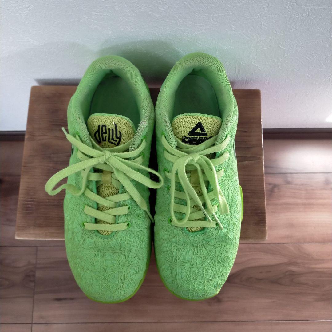 PEAK DELLY 1 ピーク　デリー1 US9 27cm