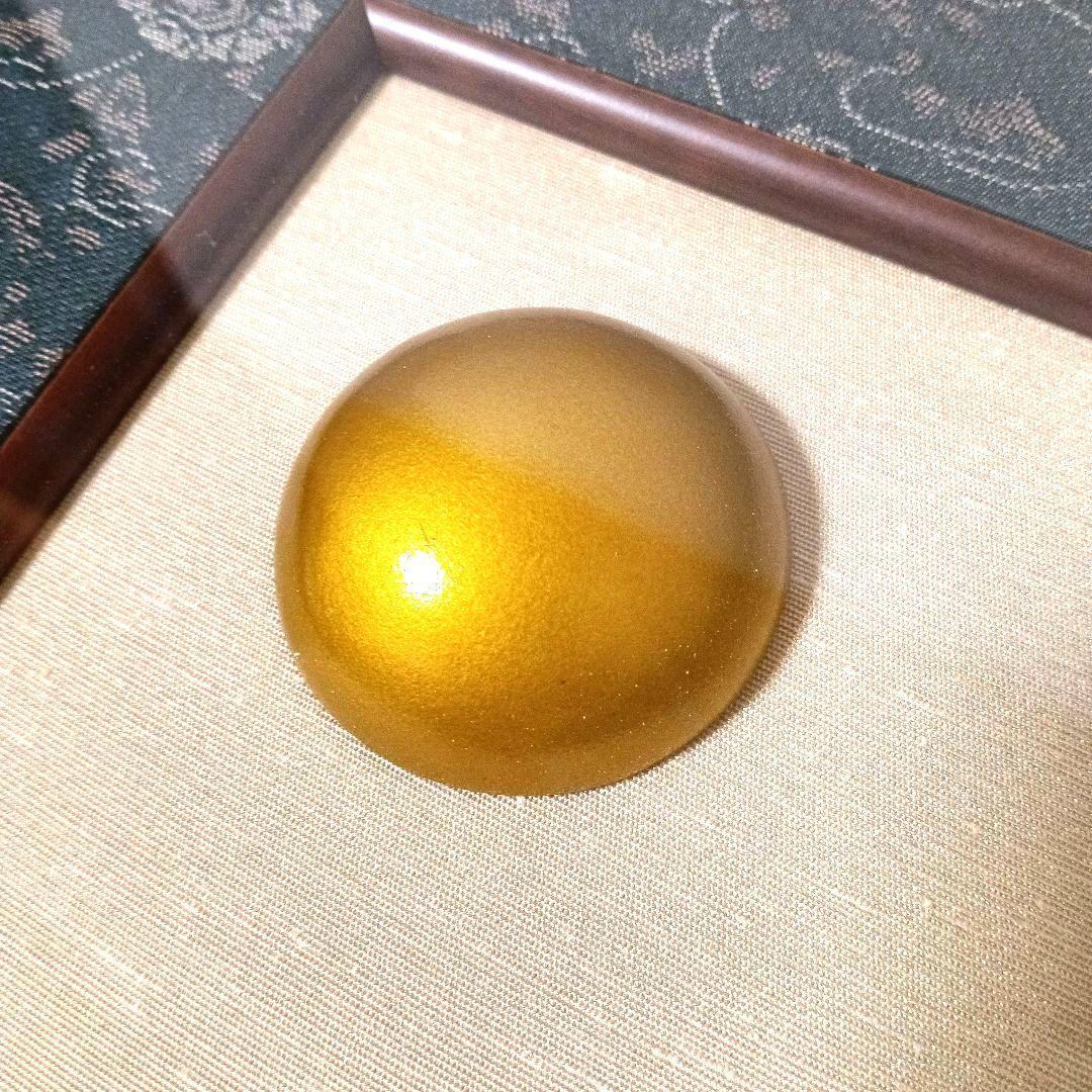 大型額装 希少 本鼈甲 昇鯉 金彩 金箔 赤甲 白甲