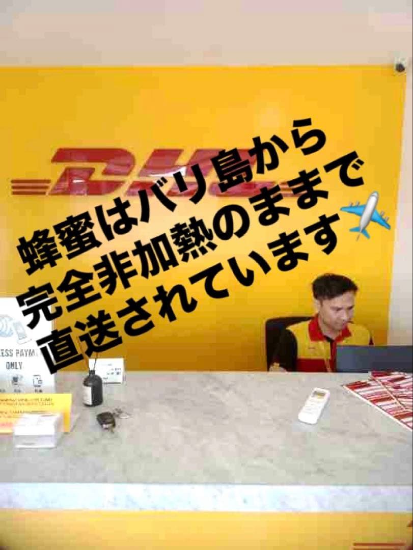 針なしミツバチの蜂蜜⭐️限定8本SALE、モリンガパウダー3袋⭐️歳末感謝、赤生姜