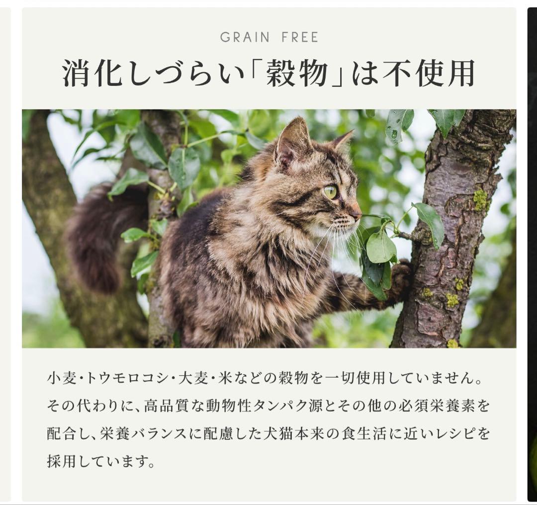 未開封　CANAGAN DENTAL デンタルキャットフード 1.5kg × 2