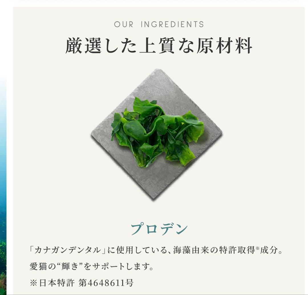 未開封　CANAGAN DENTAL デンタルキャットフード 1.5kg × 2