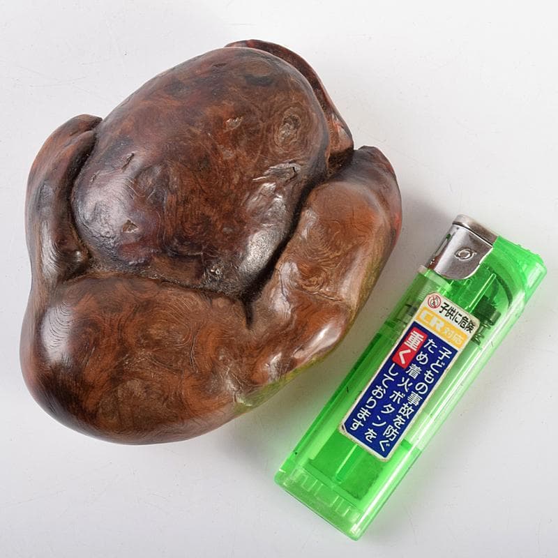 中国　唐木天然木瘤木　紙鎮　置物　V　R5131