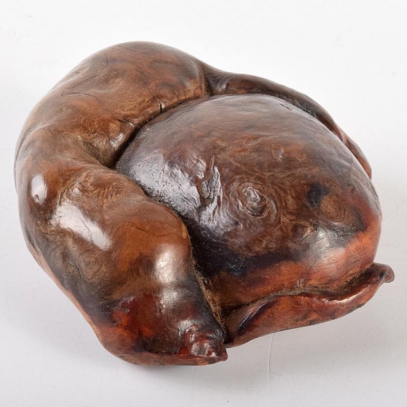 中国　唐木天然木瘤木　紙鎮　置物　V　R5131