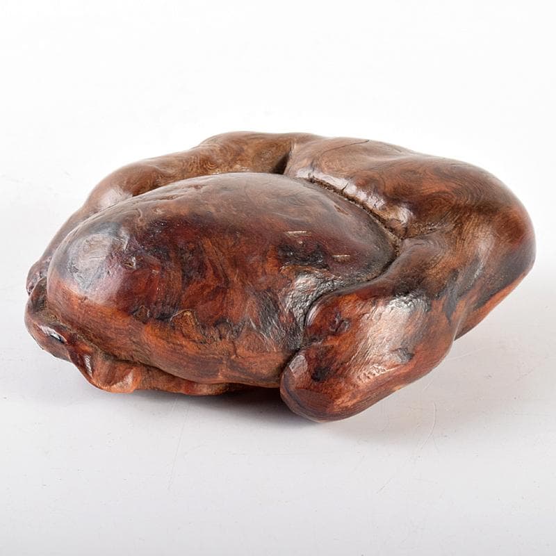 中国　唐木天然木瘤木　紙鎮　置物　V　R5131