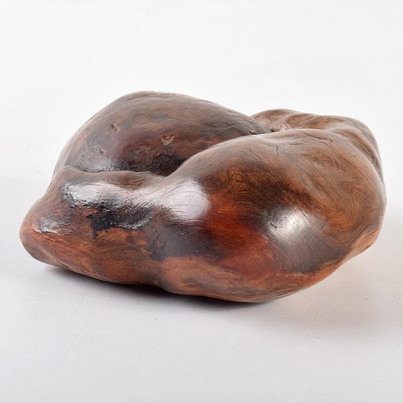 中国　唐木天然木瘤木　紙鎮　置物　V　R5131