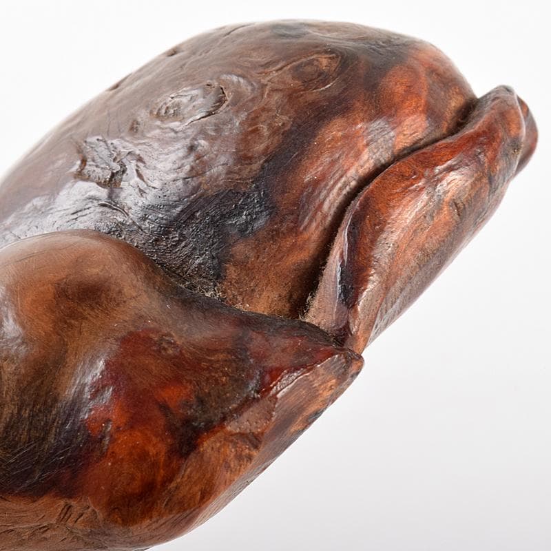 中国　唐木天然木瘤木　紙鎮　置物　V　R5131