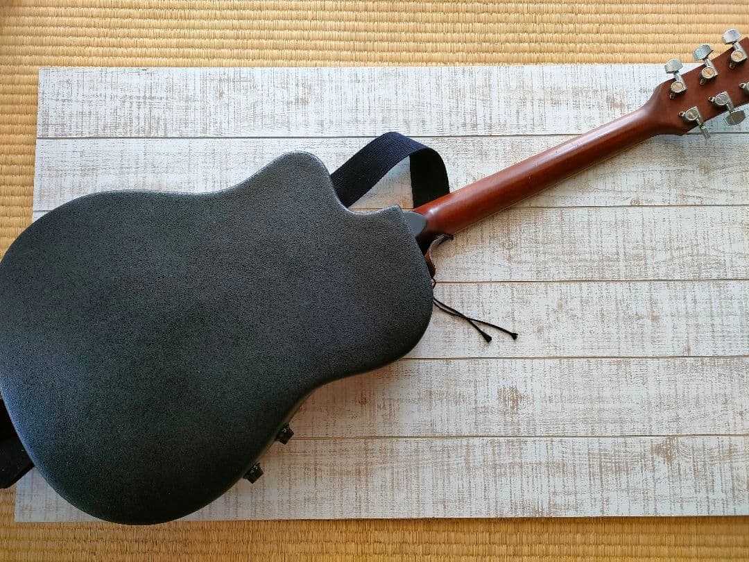 ARIA アコースティックギター F-130 グリーン