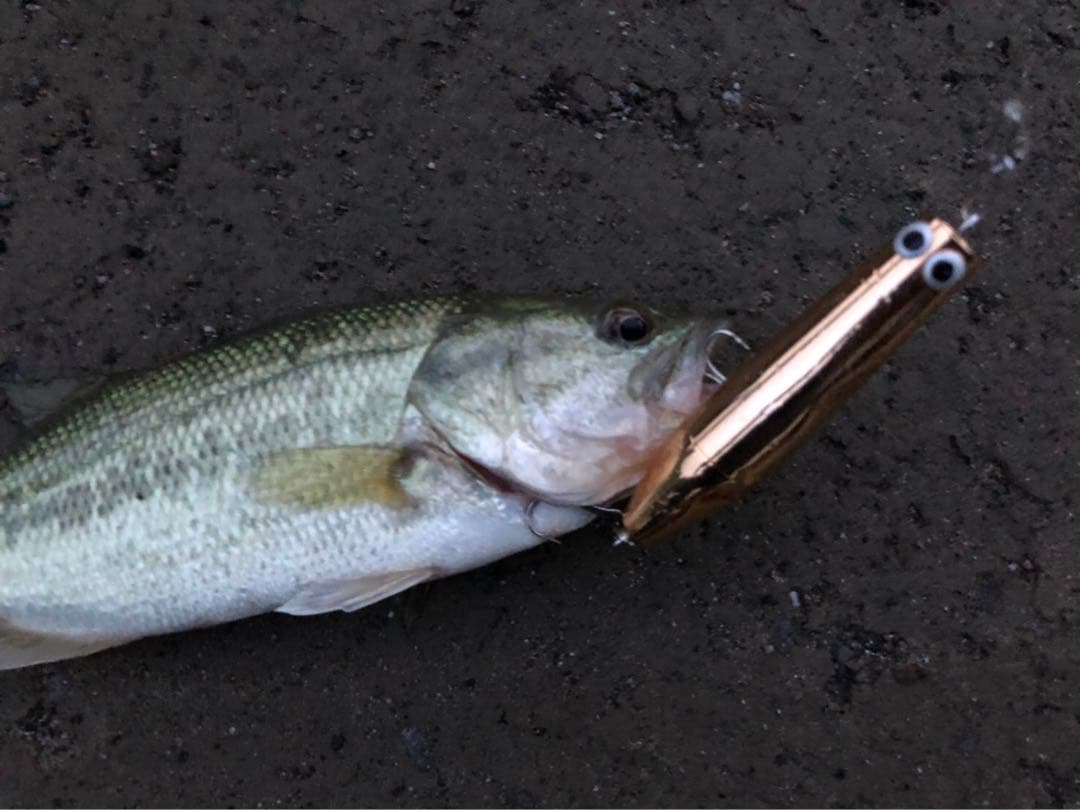 テクノジャーク