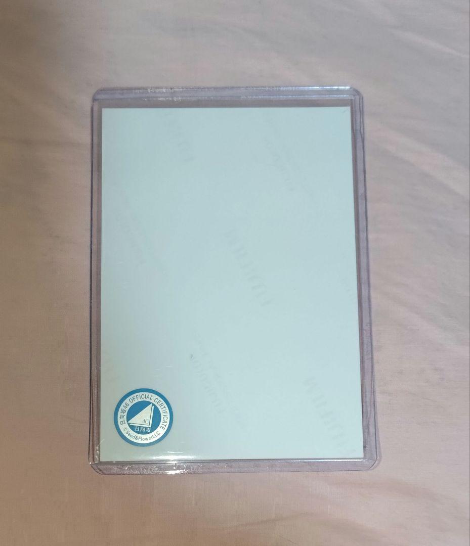 正源司陽子 直筆サイン入り 生写真 サンタ衣装 チュウ