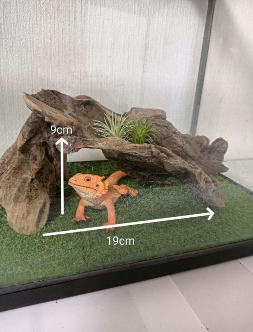 シグノ様　流木465　468　 469 　リクエスト　3点 おまとめ商品