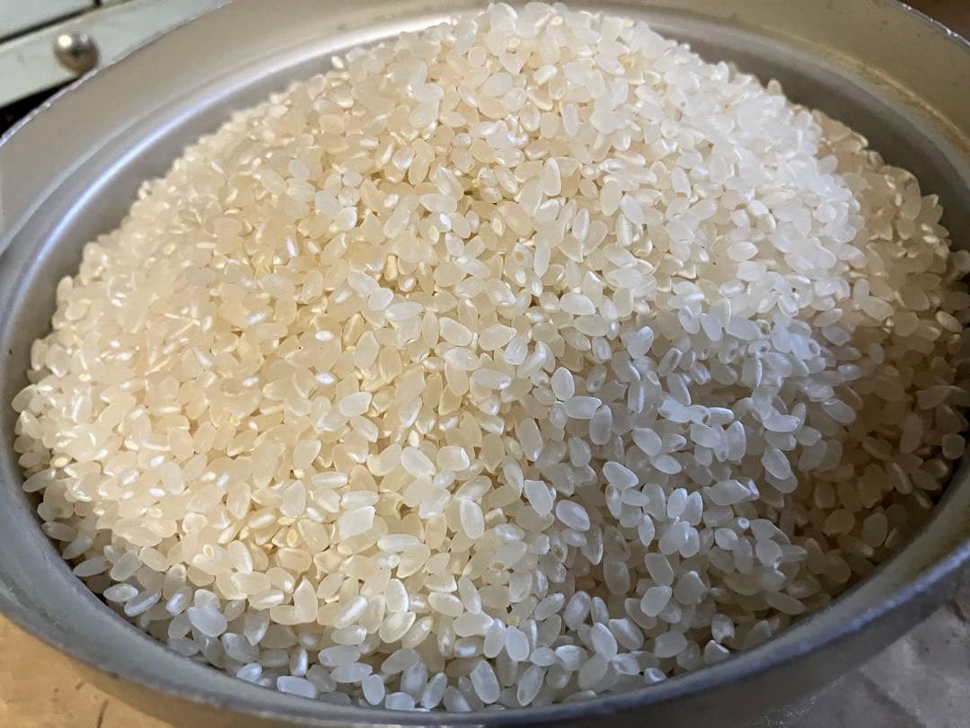 こぷー 令和7年産【丹波篠山コシヒカリ】白米10kg 極上米/食味値87点