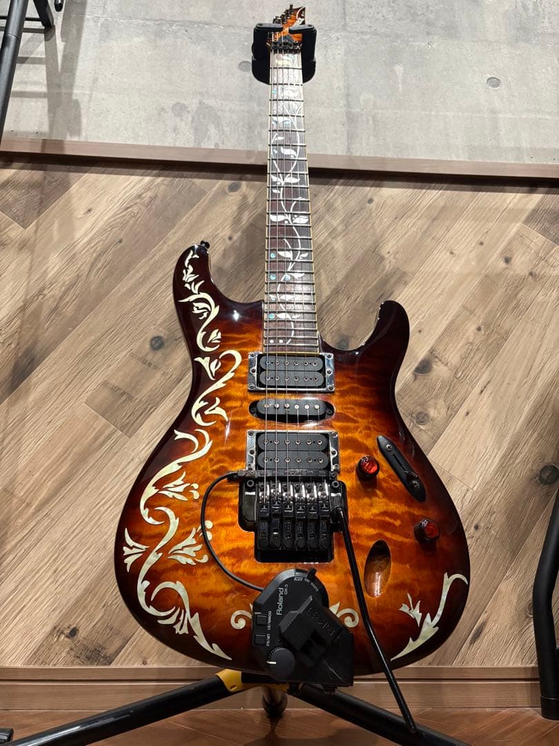 アイバニーズS670QM (DEB) GK-3付き