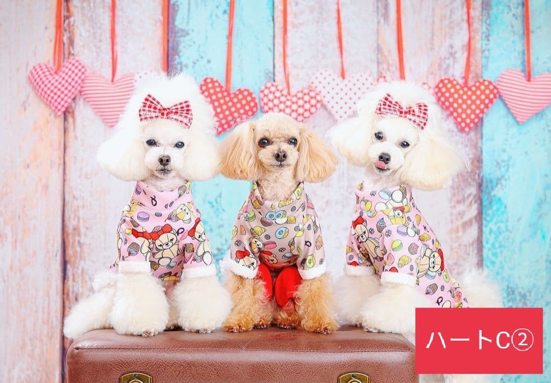 業務用　トリミングチョーカー　バレンタインリボン　苺　いちご　背景布　セット