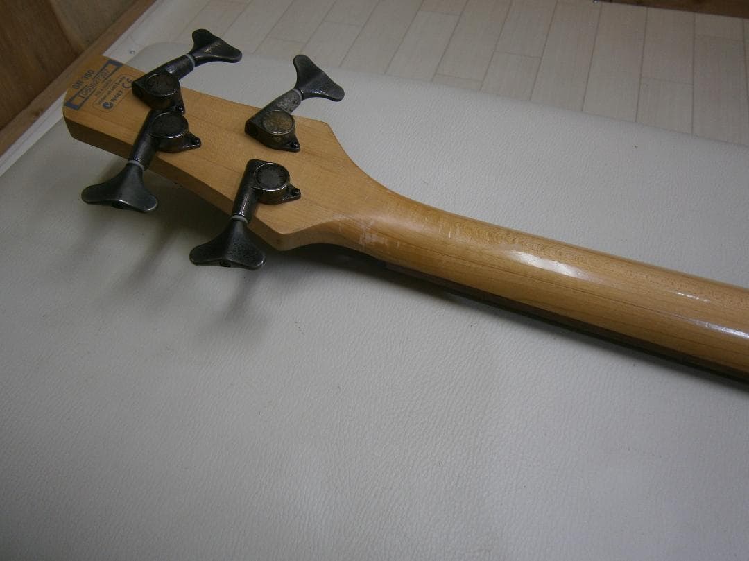 アイバニーズ＜SDGR＞SR350・アクティブタイプ