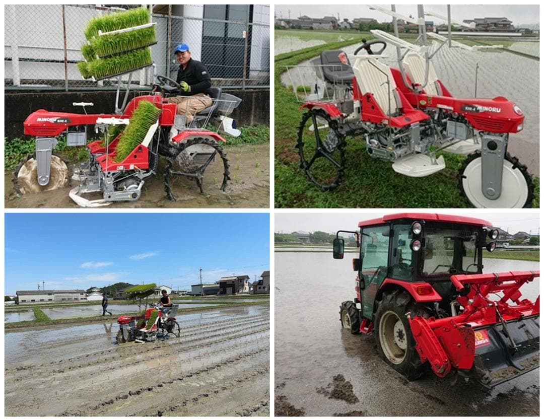 新米　兵庫播州れんげ米　きぬむすめ　７年産　精米　極1等米10Kg　農直送料無料