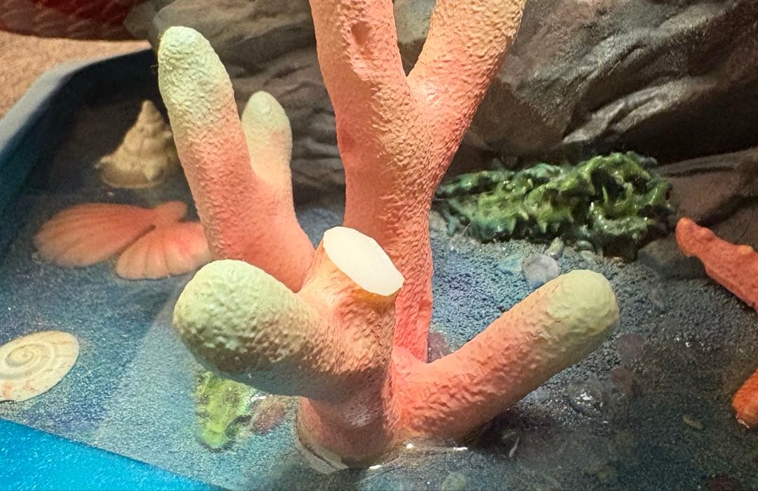 しらほし スタチュー　ガレージキッド　フィギュア　３５０体限定　特大　ワンピース