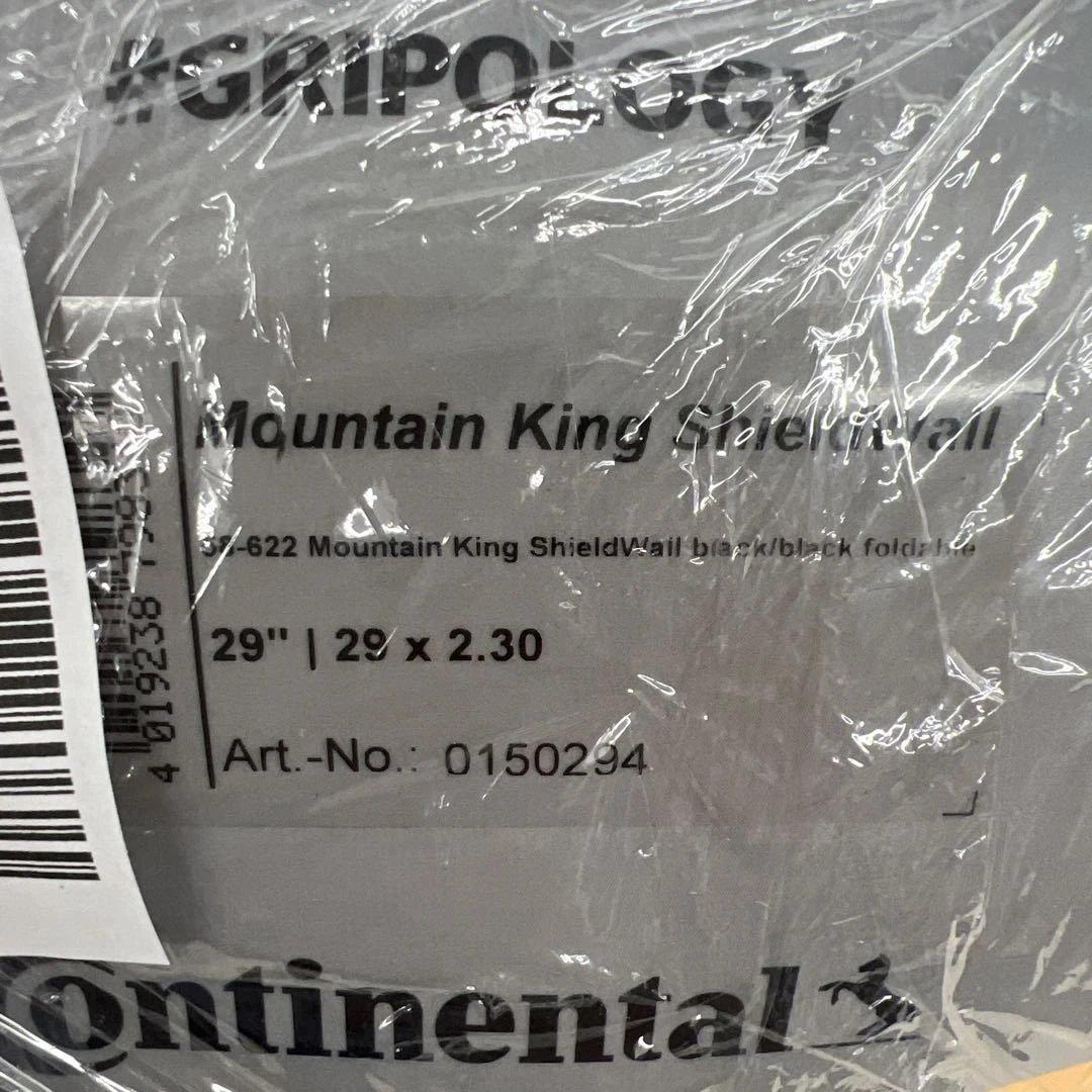 12701 2本セット (コンチネンタル) チューブレスレディ