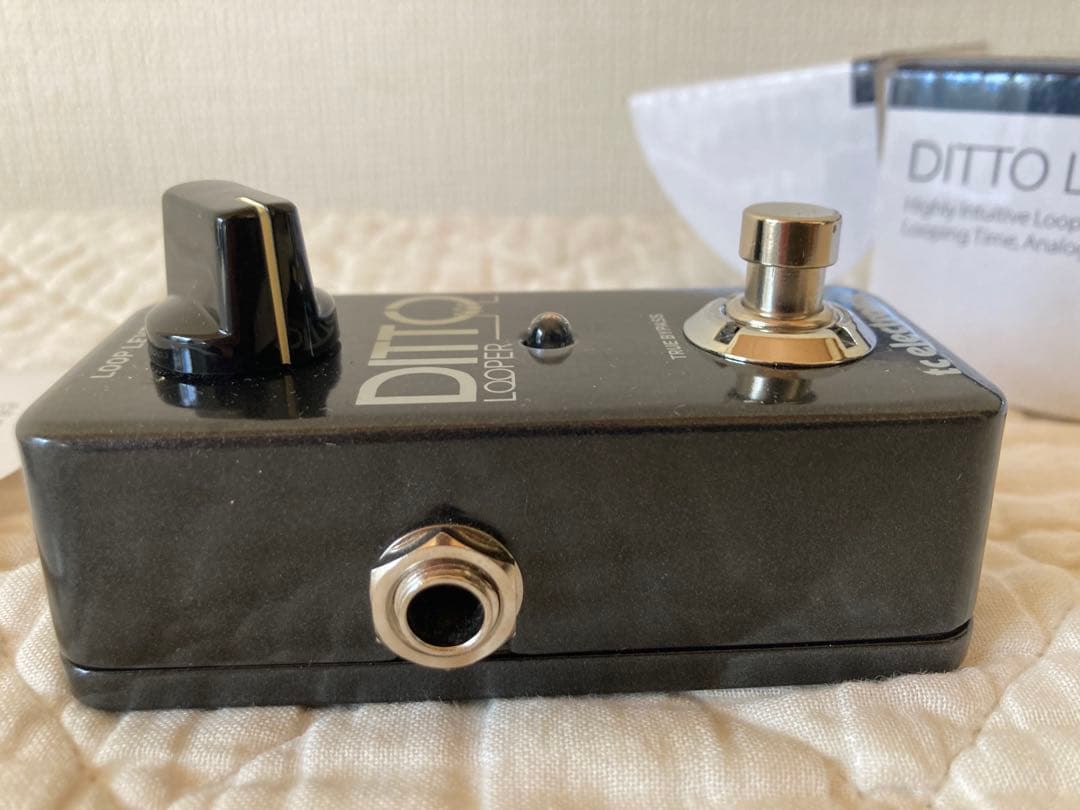 tc electronic DITTO LOOPER 未使用品