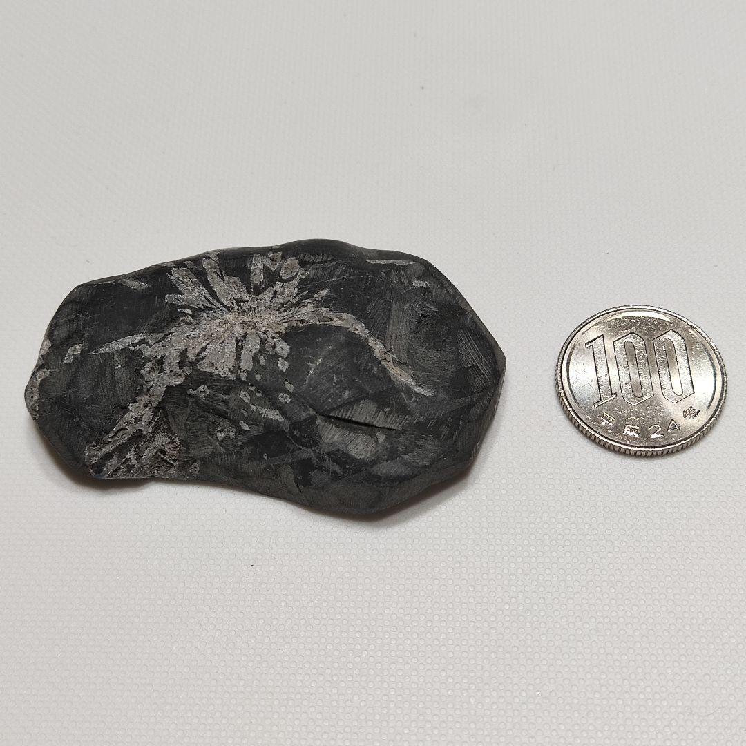 パワーストーン　天然石　菊花石　55g　No.103