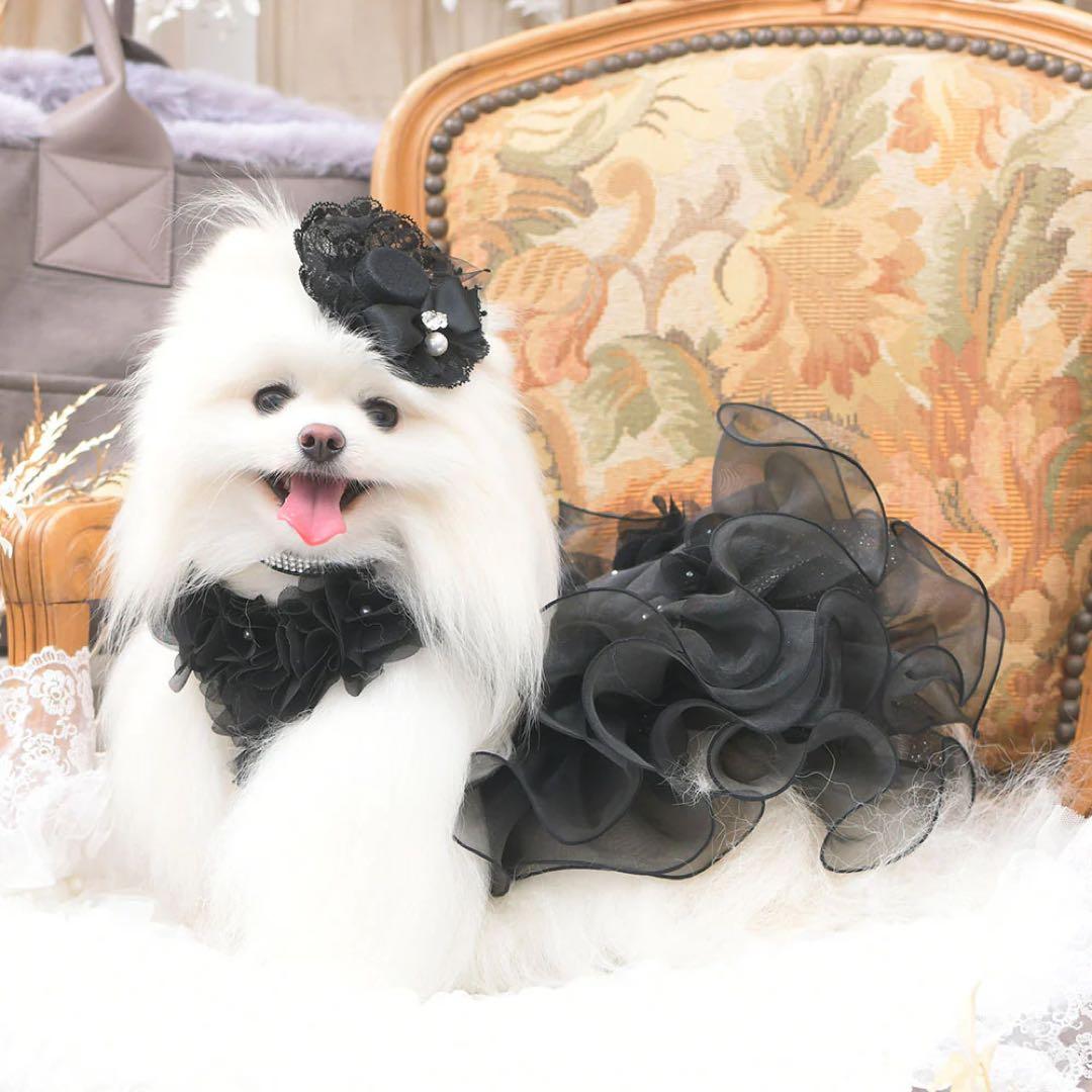 リュクスバーディ Luxebirdie ドレス