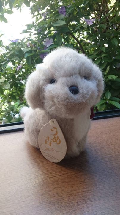 うめ吉 ぬいぐるみ オリエンタルトーイ S-140