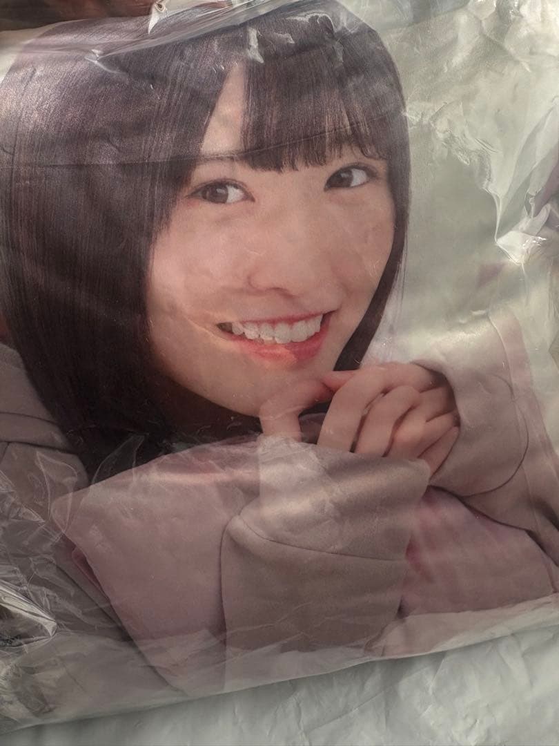 大越ひなの 乃木フェス 直筆サイン入りクッション