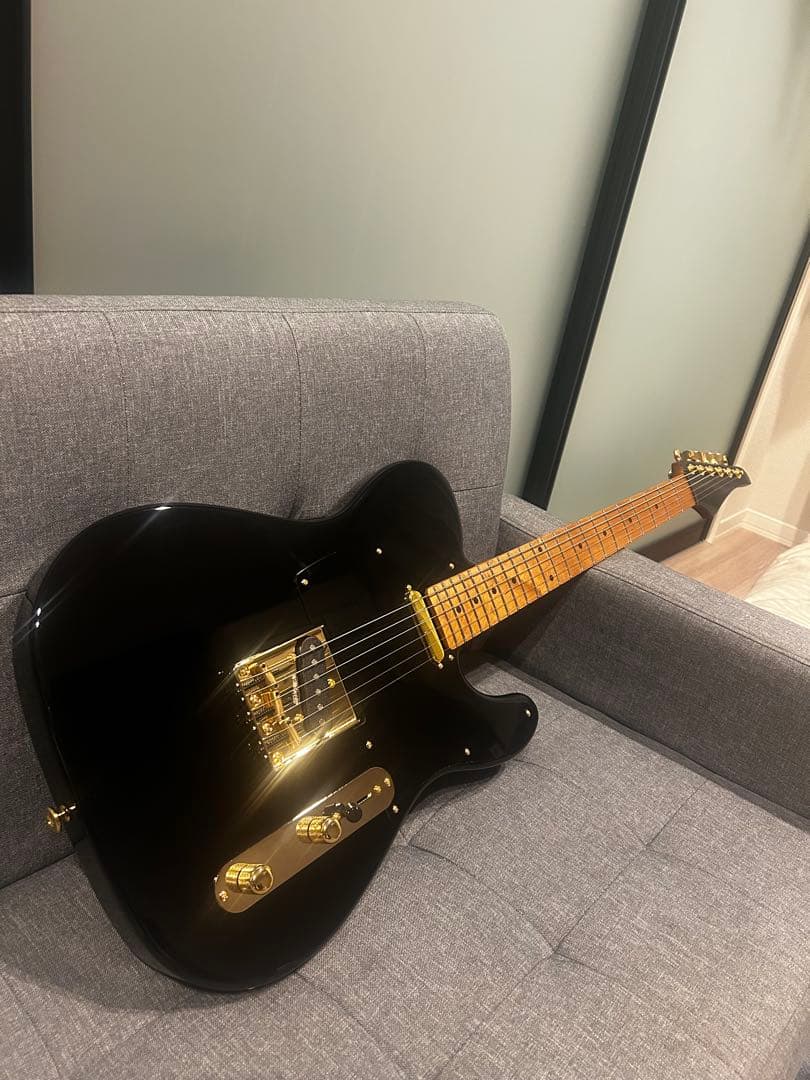 Bacchus BTE-1DX RSM MOD テレキャスター suhr