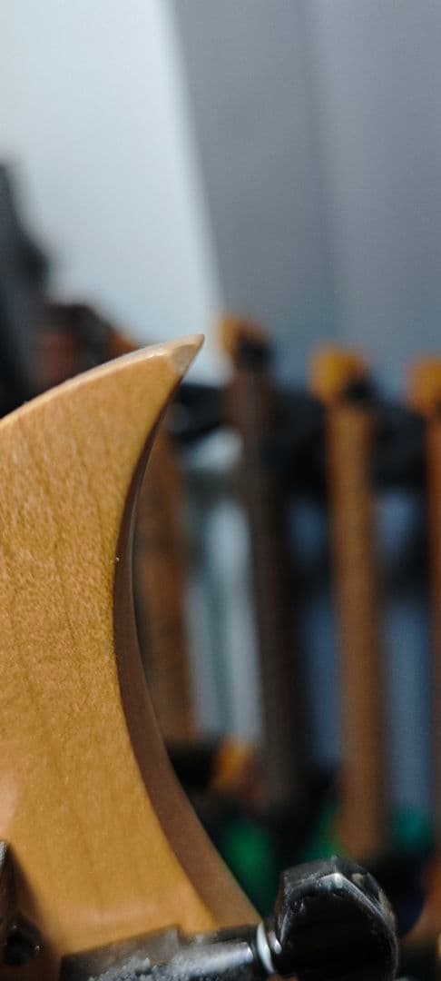 ギター Caparison Horus M3