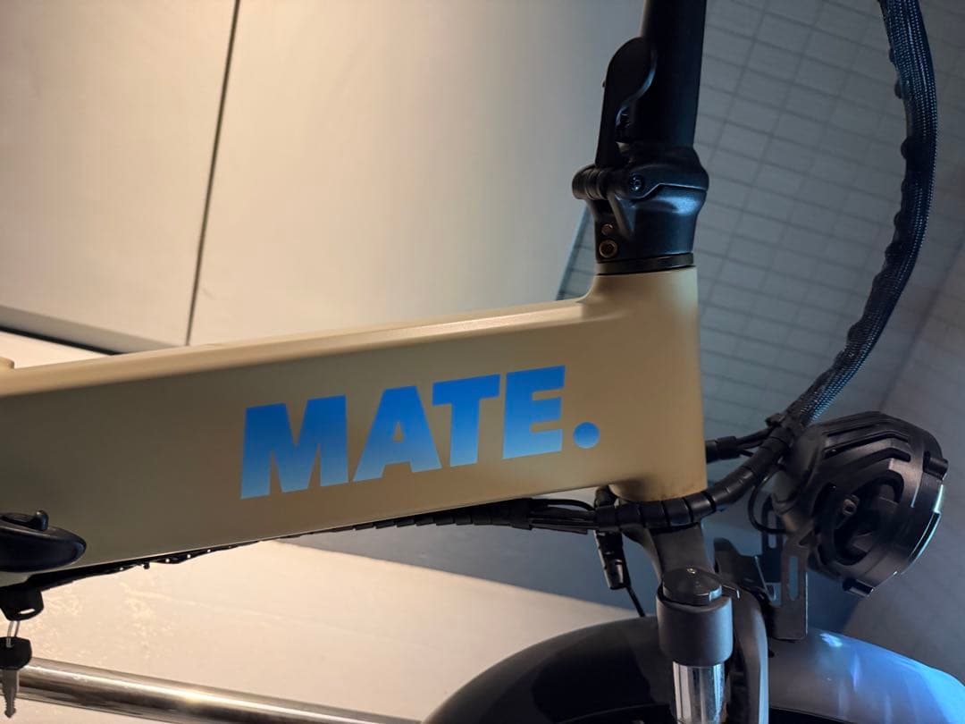 MATE X 250 MATEBAIKEほぼ美品　新発売カラー