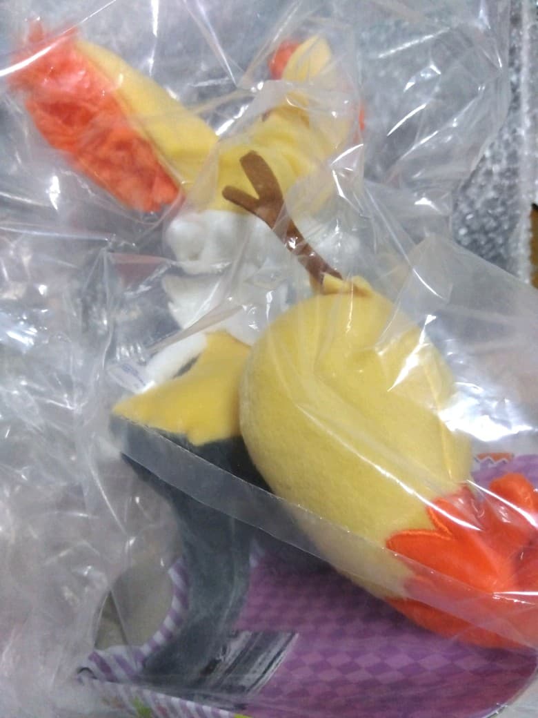 ポケモン　ぬいぐるみ　テールナー　202307072116