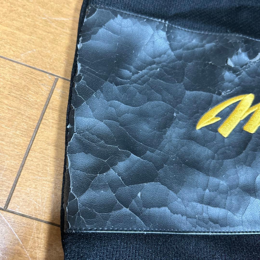 ミズノプロ グローブ MIZUNO PRO 硬式