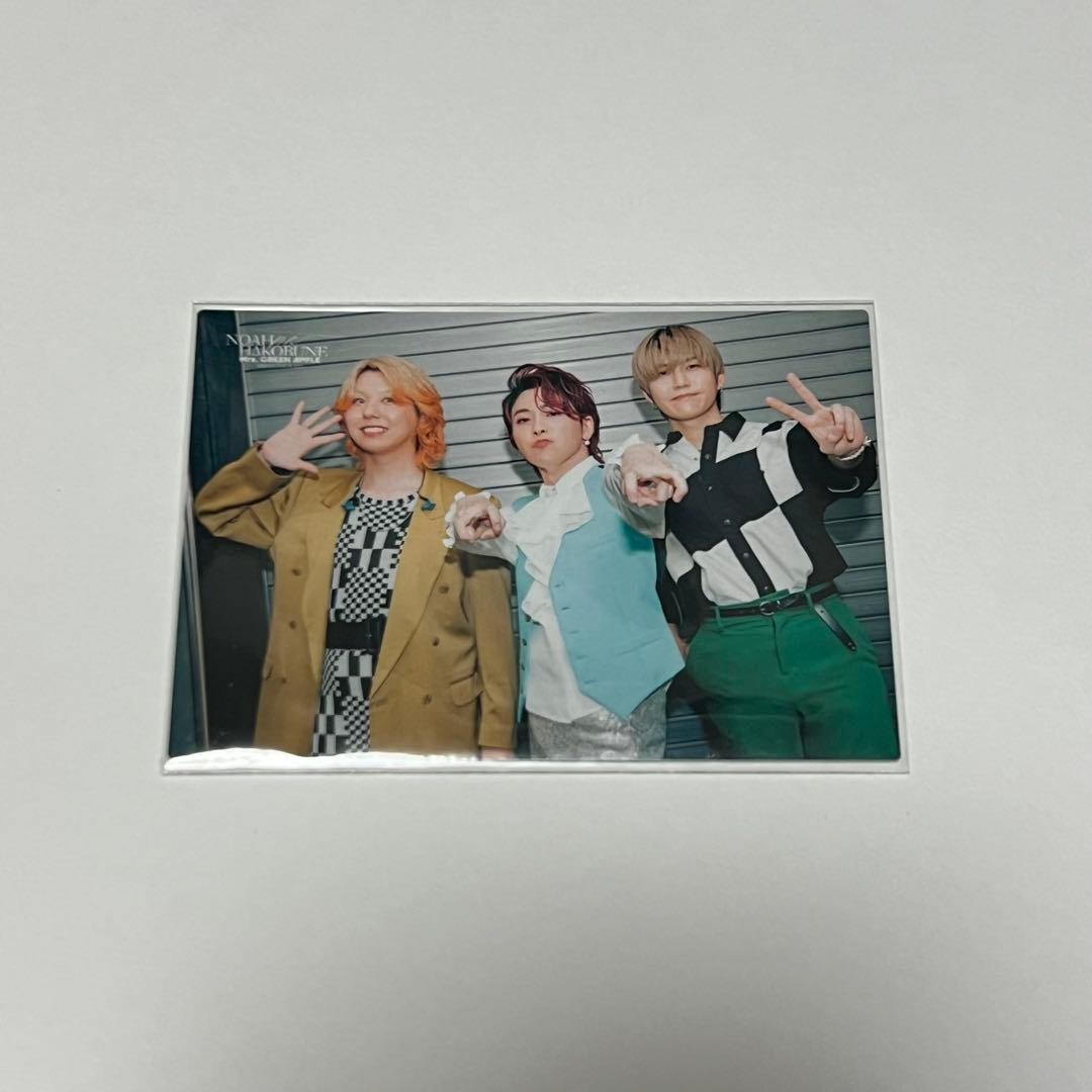 モンブラン様 ミセス フォトカ