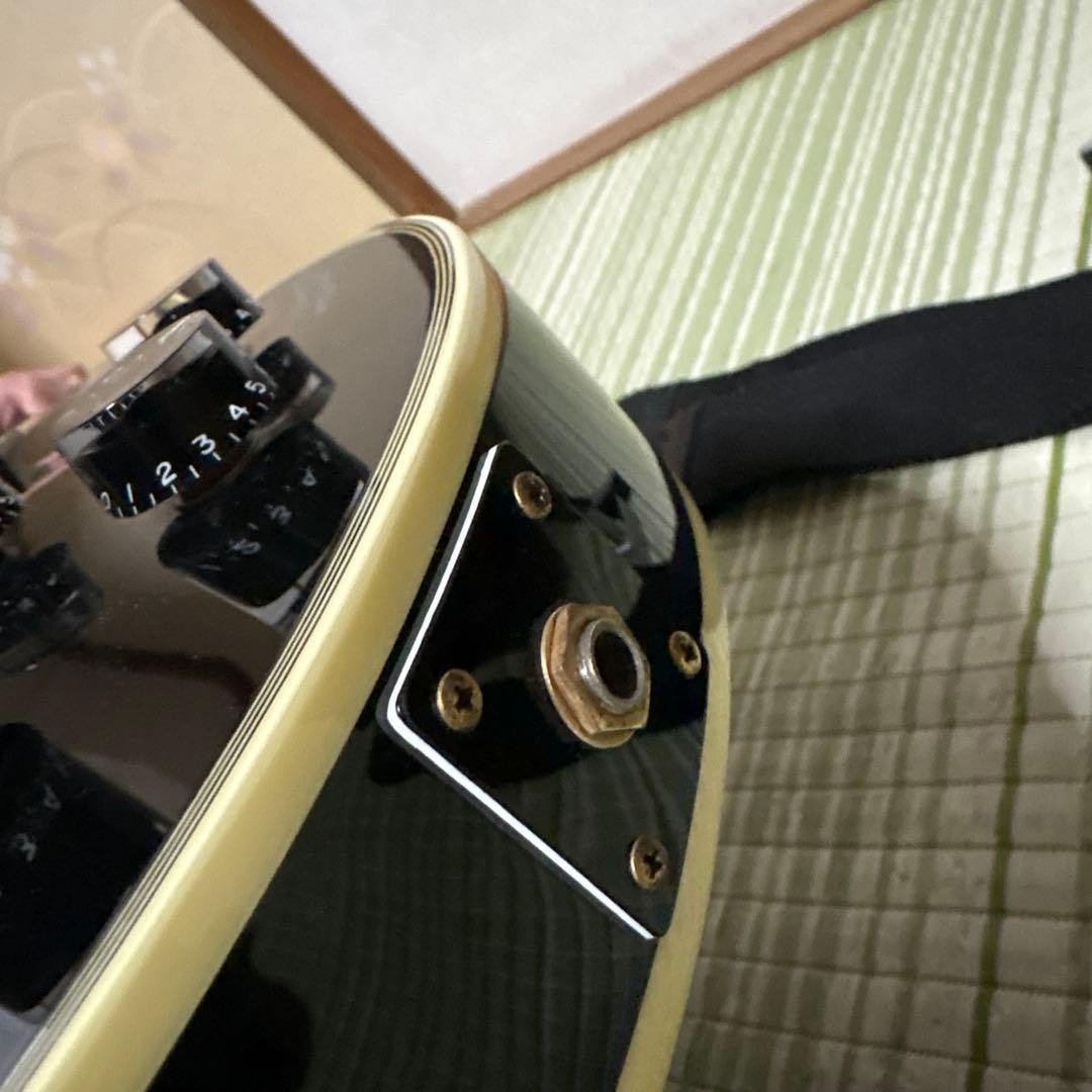 History レスポールタイプ エレキギター　ヒストリー　弦楽器　ソフトケース