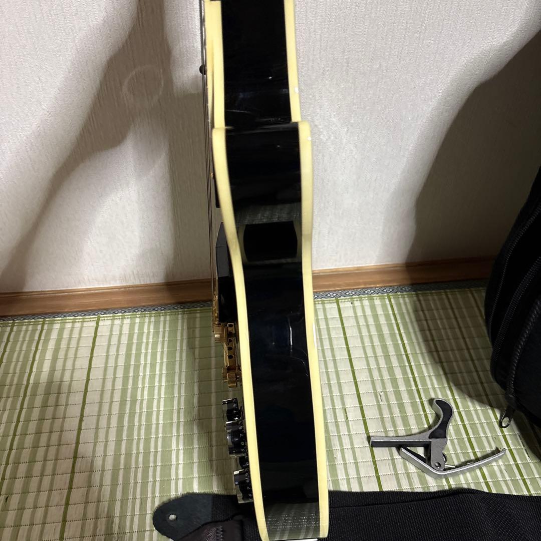 History レスポールタイプ エレキギター　ヒストリー　弦楽器　ソフトケース