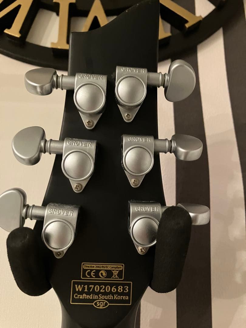 シェクター SCHECTER Damien Platinum-6