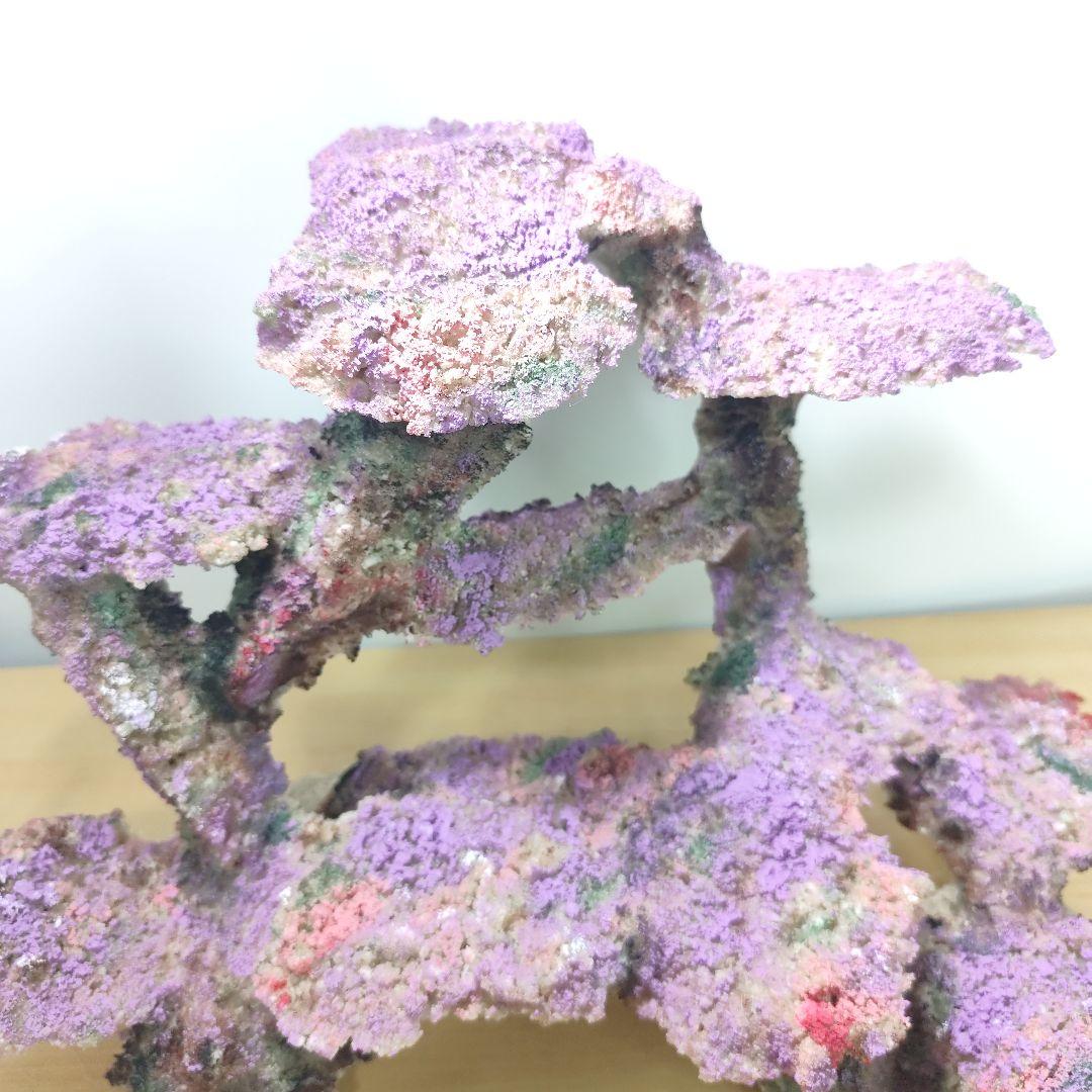 ❖新品アク抜き不要 人工ライブロック 60cm海水水槽用 レプリカ 多孔質安い2