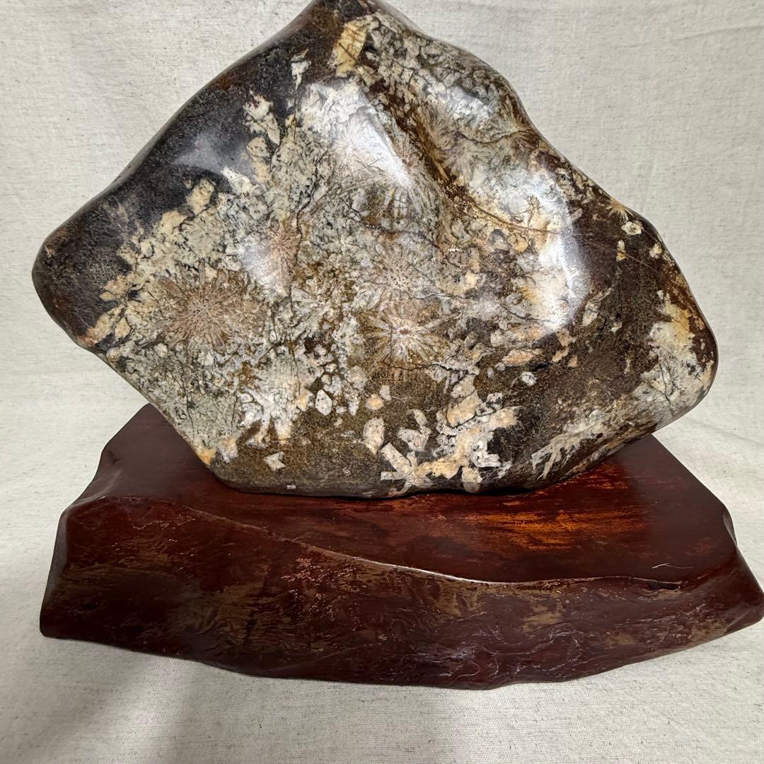 菊花石　岐阜根尾産　台座付き　重さ約10キロ