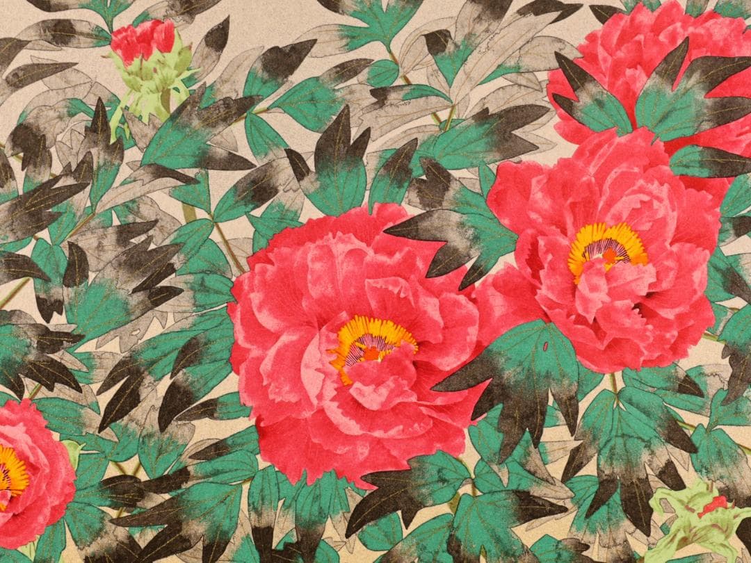 秀ちゃん　 BK281　中島千波 「 富貴花響艶 」 280/300　リト