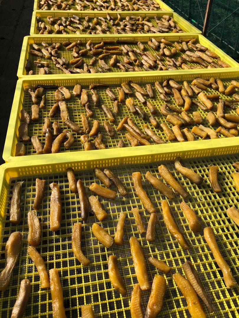 さくら 木小屋の干し芋紅はるか熟成平干し2k 丸干し2k（1箱）完全天日干