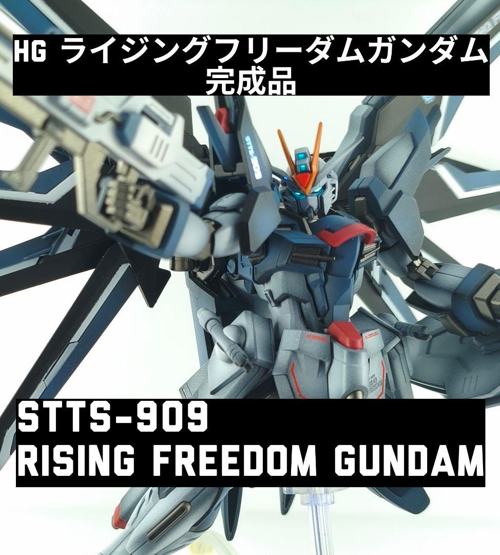 HG ライジングフリーダムガンダム 塗装済み完成品 全塗装