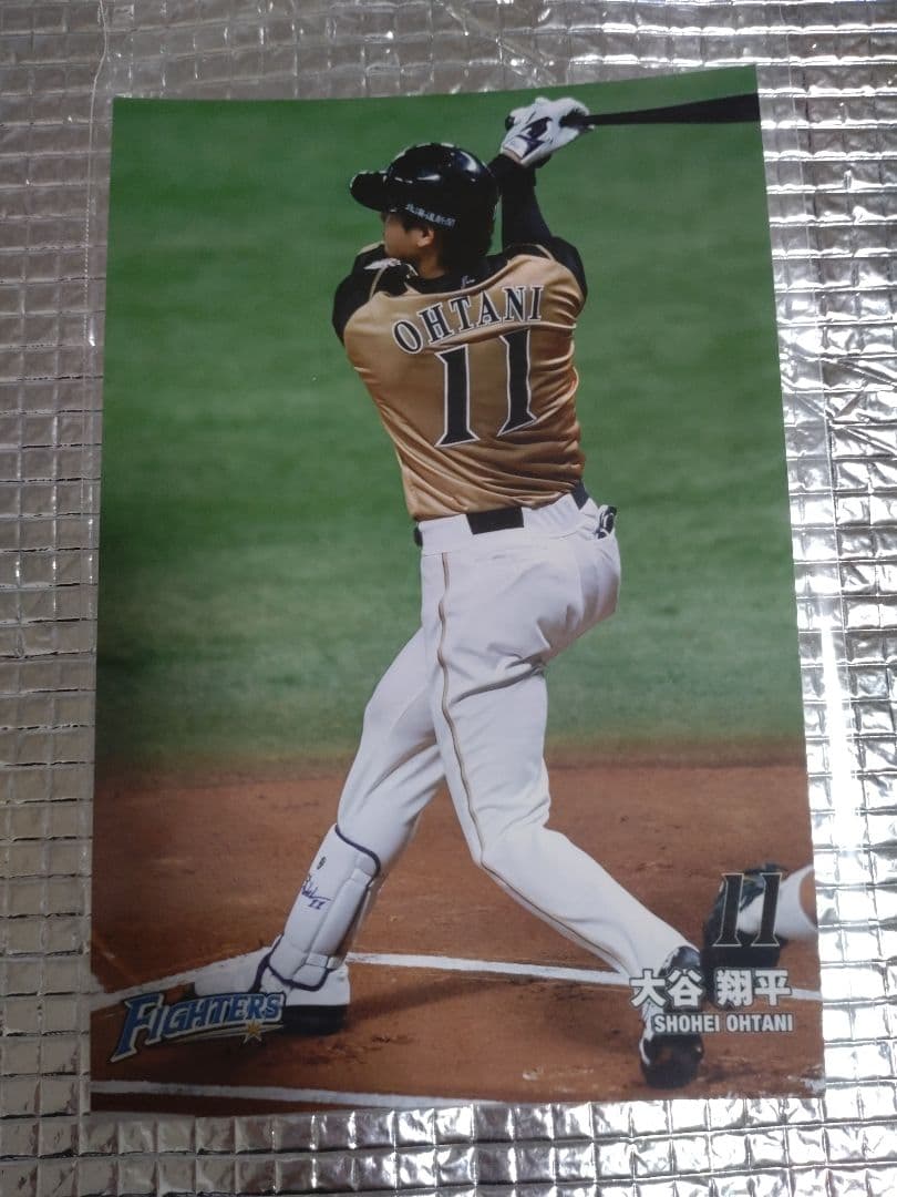 大谷翔平 2016 ハイライトフォト No.102 日本ハム 球団公式写真