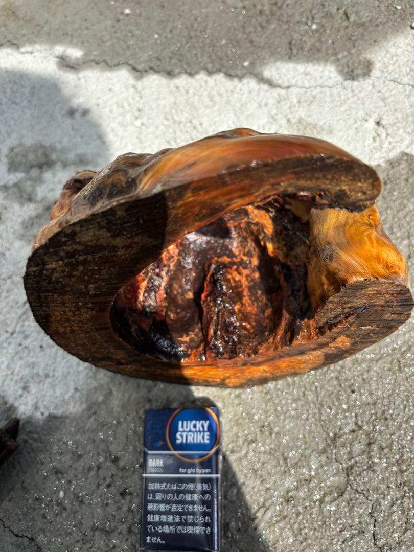 流木　アクアリウム