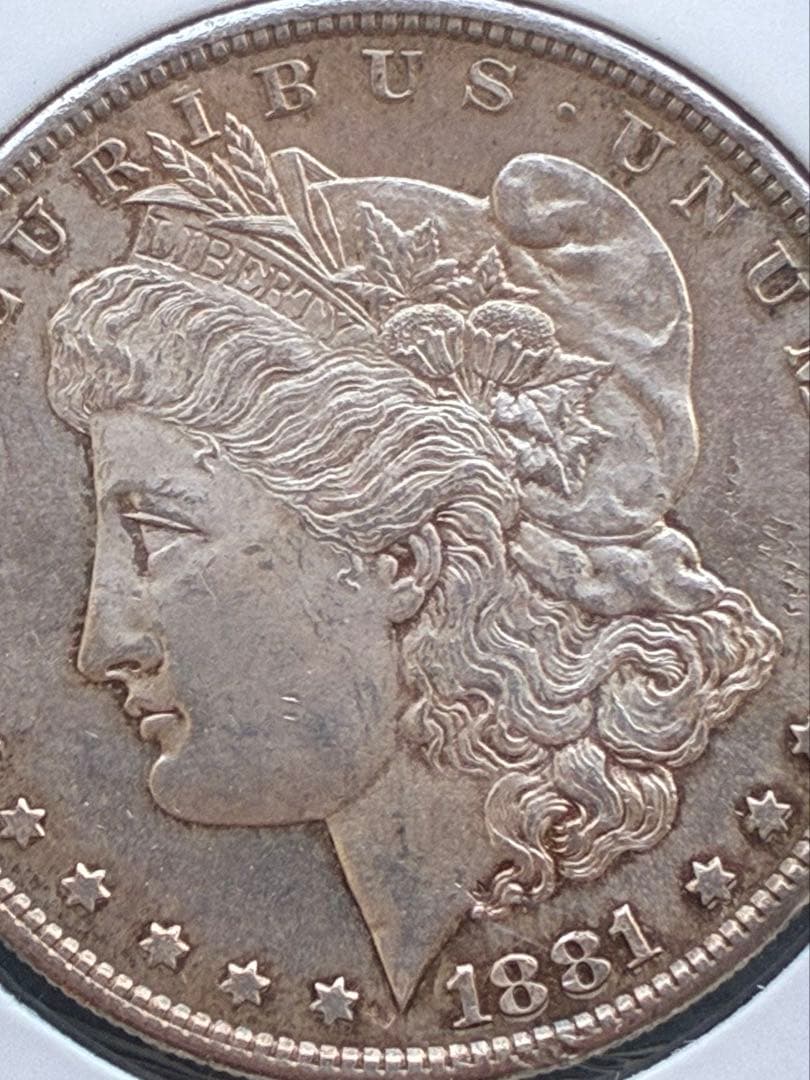 W*V様 アメリカ モルガンダラー 1ドル 銀貨 大型 外国