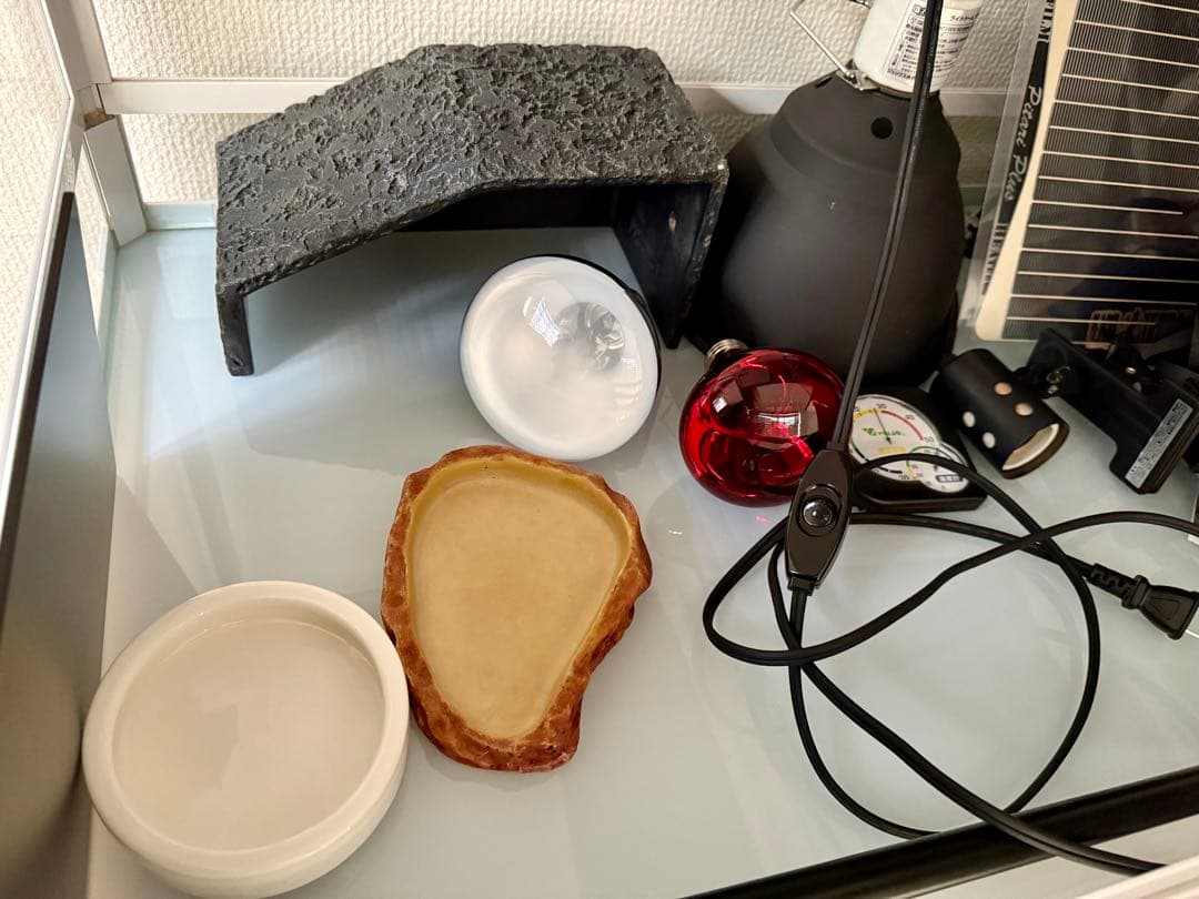 お値下げ中！！飼育ケース2個入りフトアゴヒゲトカゲ飼育14点セット