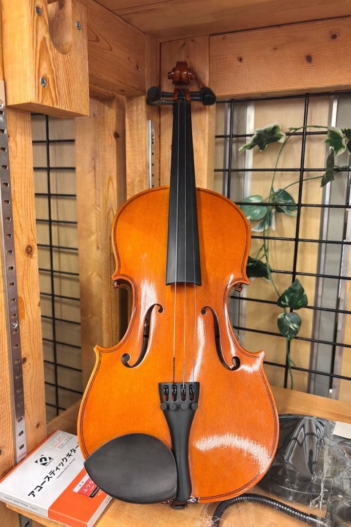 オレンジ色 フルサイズバイオリン 本体