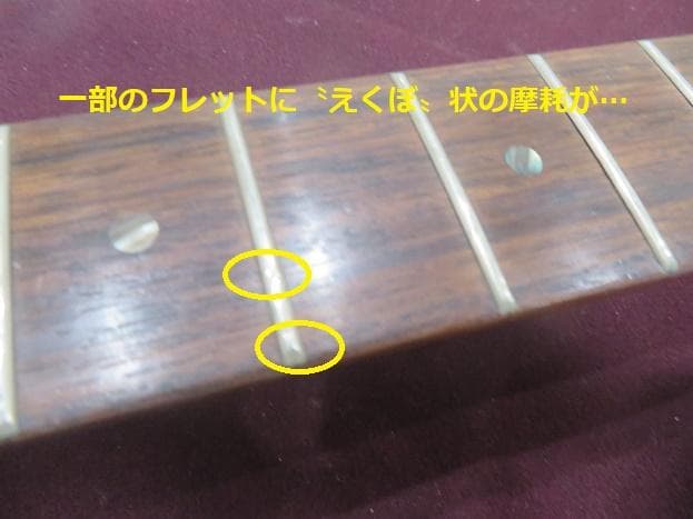 華やかなTokai LG50 左利き用 送料無料・匿名配送