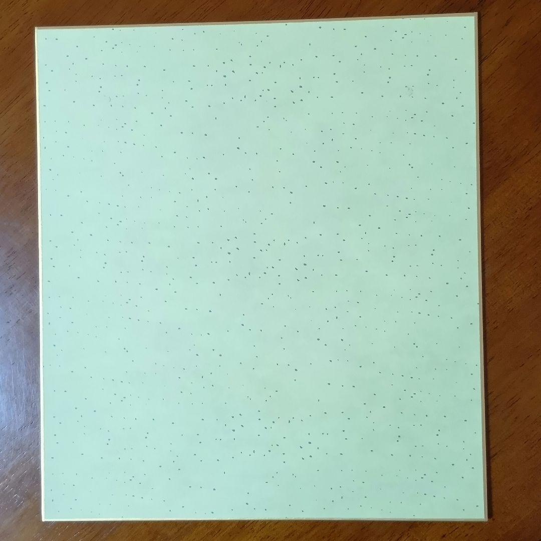 宮崎駿 直筆サイン色紙 風の谷のナウシカ・もののけ姫