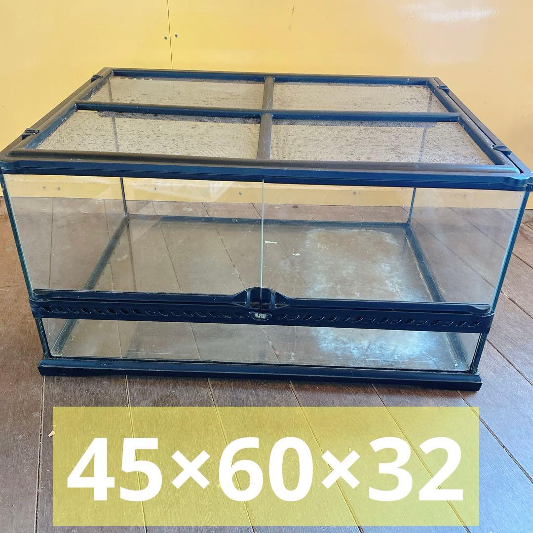 エキゾテラ　グラステラリウム　ガラスケース