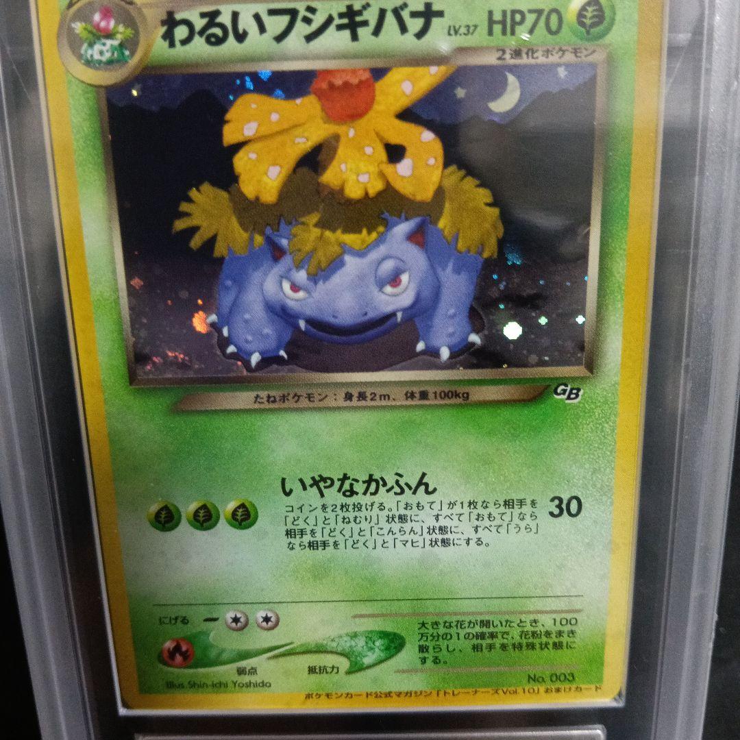 2001年発行！希少！わるいフジキバナホロ カ−ド！世界で6枚！(昨年購入時)